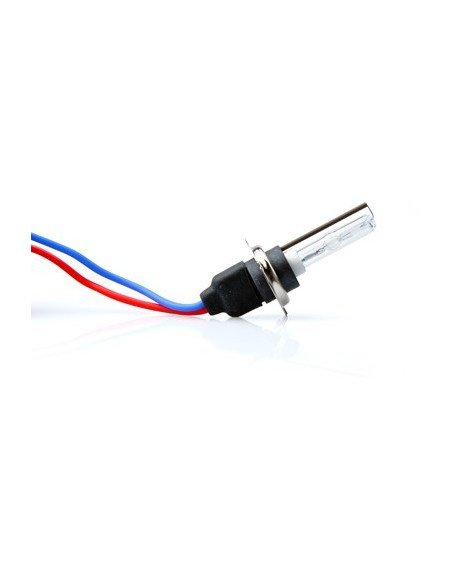 Bombilla H7 4300ºK 35W