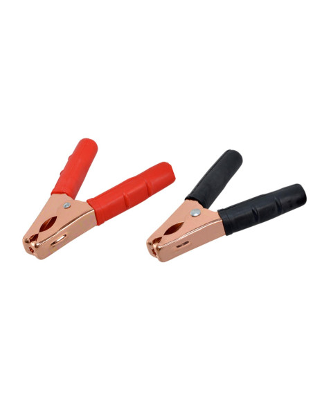 Terminales de batería 150-300AMP (2 uds.)