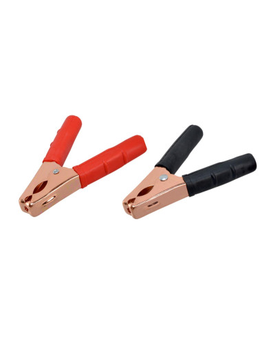 Terminales de batería 30-50AMP (2 uds.)