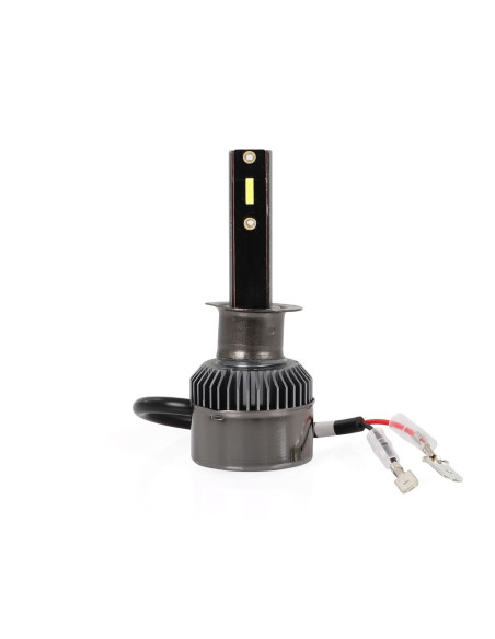 Kit de led H1 (modelo económico compacto)