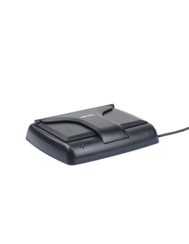 Pantalla de visión trasera desplegable TFT de 4,3"