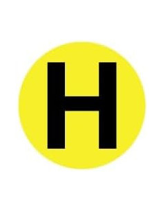 ?✨ Distintivo "H" Vehículo Histórico 60 mm Interior – ¡Envío Gratis!