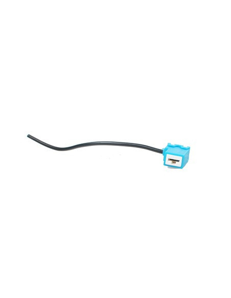 Conector H1