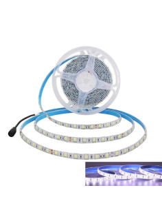 Rollo 5m. led blanco frío 24V impermeable