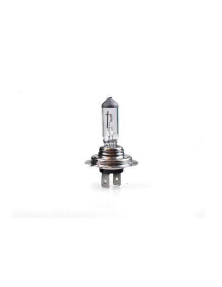 Bombilla halógena H7 (24 voltios, 70 watios)