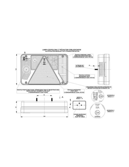 Piloto trasero halógeno universal para remolques, lado derecho