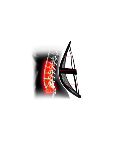 Soporte lumbar para asiento de coche