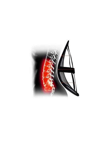 Soporte lumbar para asiento de coche