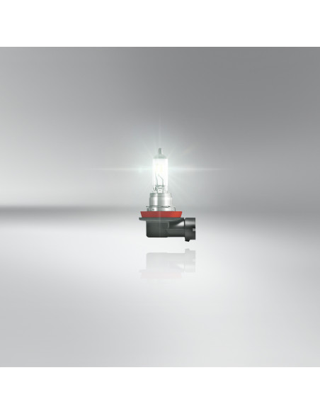 TRUCKSTAR PRO NEXT GENERATION: Lámparas Halógenas para Camiones con 120% Más de Luz y Mayor Duración